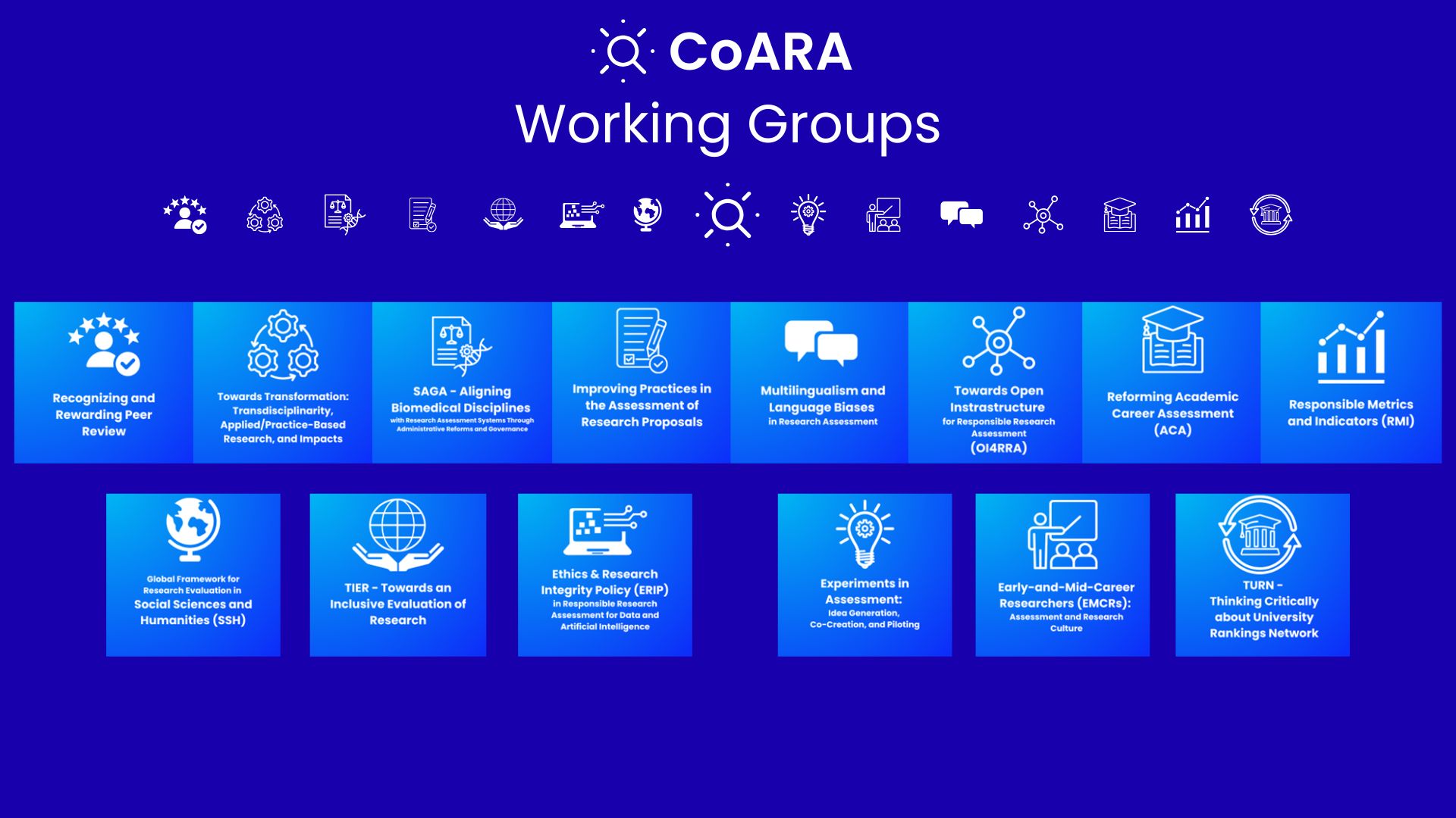 CoARA Working Group Co-Chair Forum